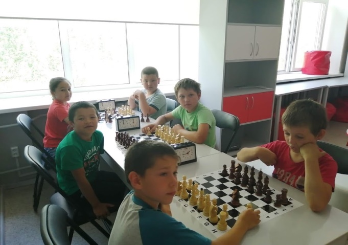 Занятие по шахматам