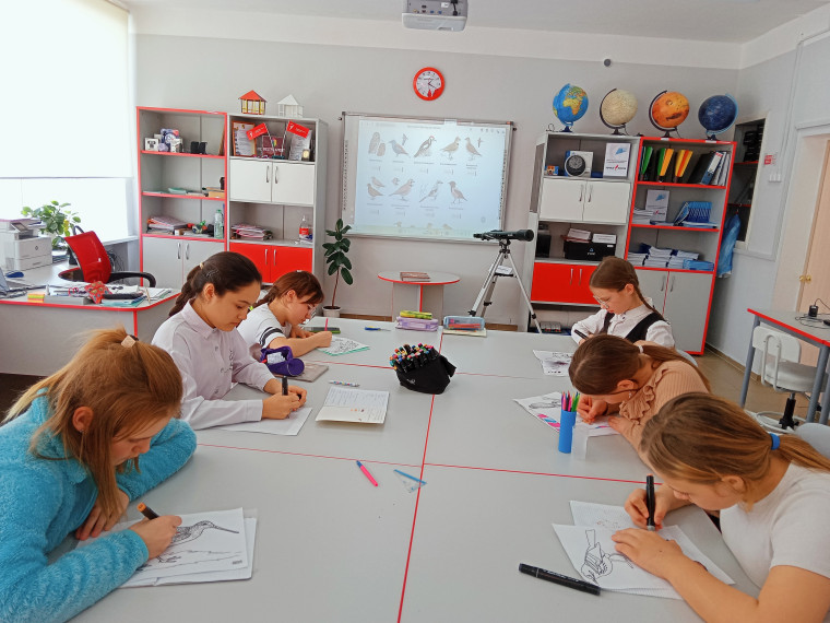 День птиц.